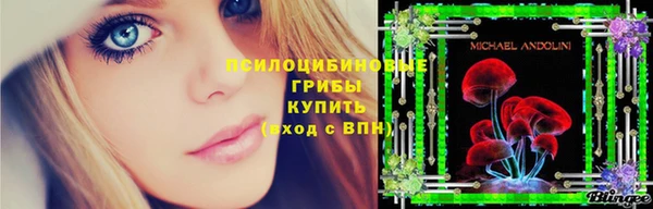 apvp Абаза