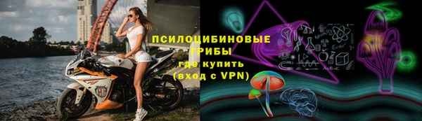 стаф Абдулино
