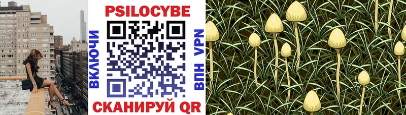 Галлюциногенные грибы GOLDEN TEACHER  закладки  Нижняя Тура 